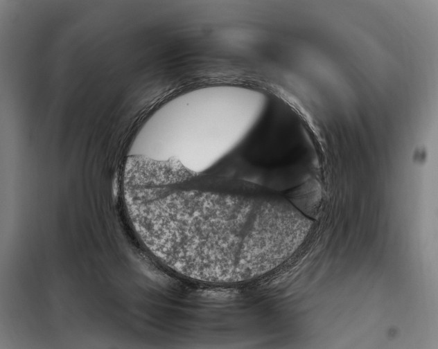 X0000098000069200804211142