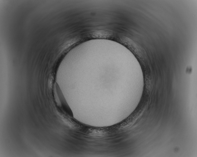 X0000098000071200804211142