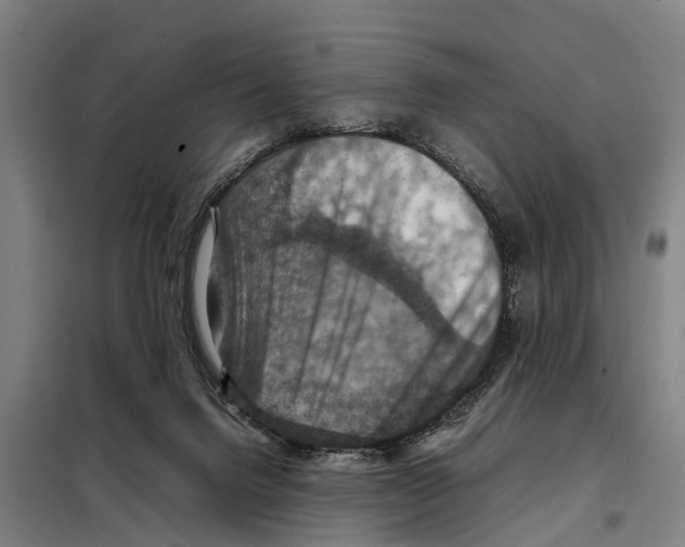 X0000098000072200804211142