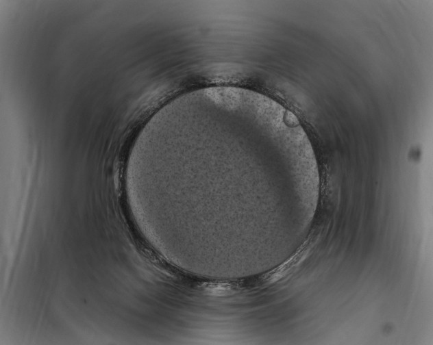 X0000098000074200804211142