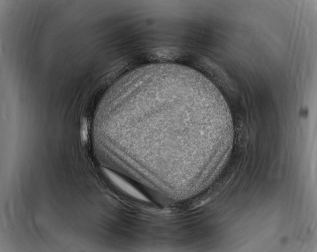 X0000098000075200804211142