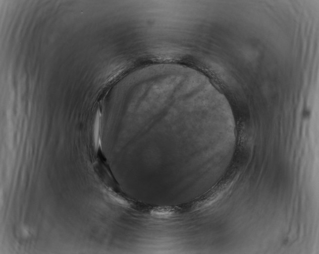 X0000098000076200804211143