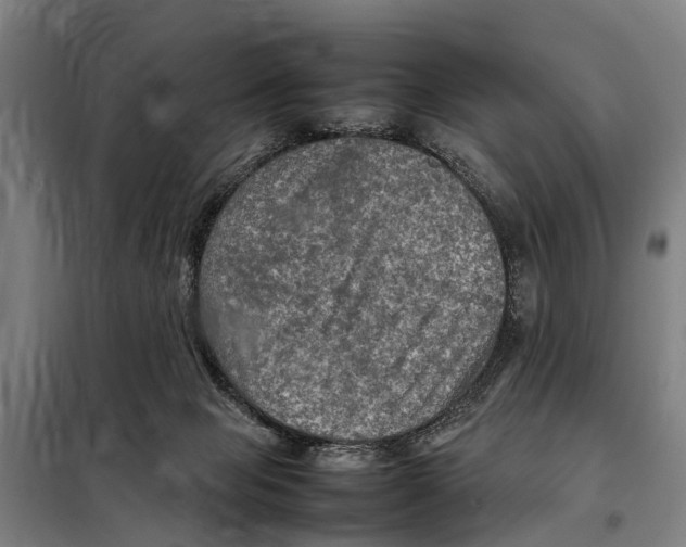 X0000098000077200804211143