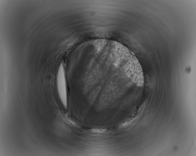 X0000098000080200804211143