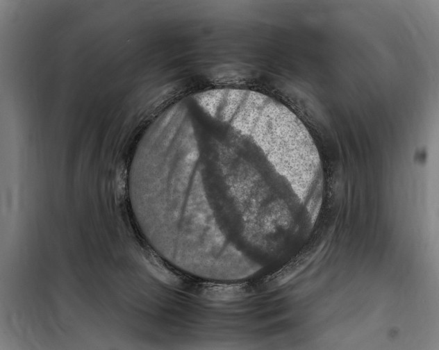 X0000098000081200804211143