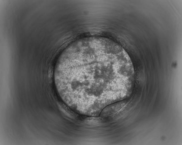 X0000098000082200804211143