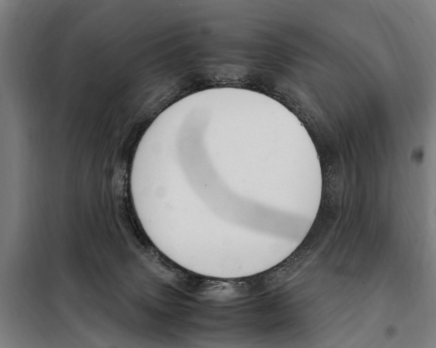 X0000098000083200804211143