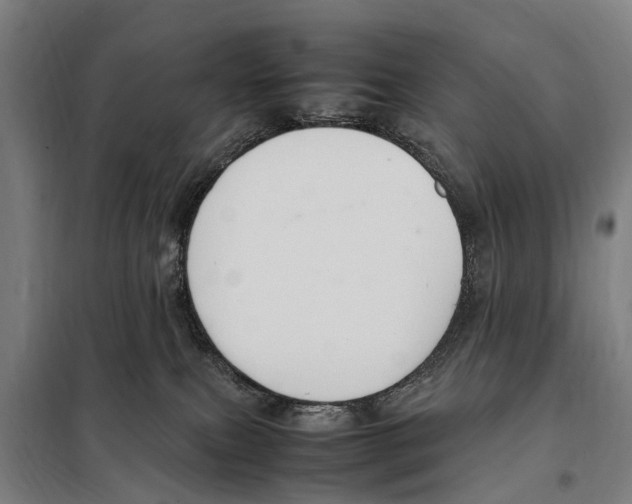 X0000098000087200804211143