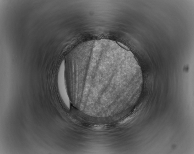 X0000098000088200804211143