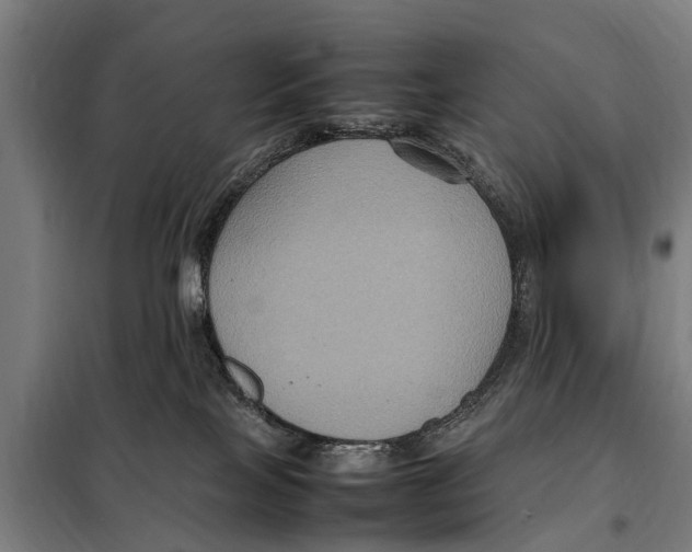 X0000098000089200804211143