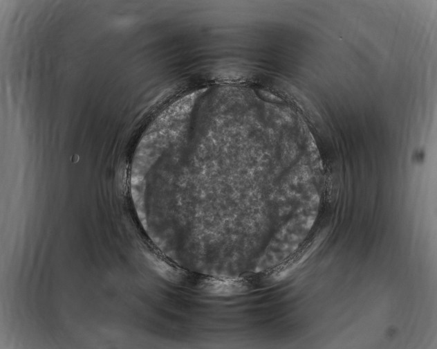 X0000098000093200804211143
