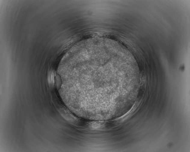 X0000098000094200804211143