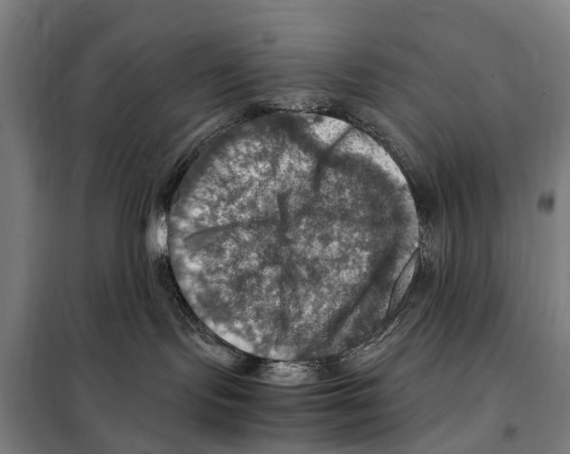X0000098000095200804211143