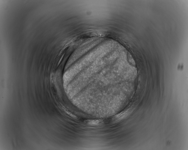 X0000098000096200804211143