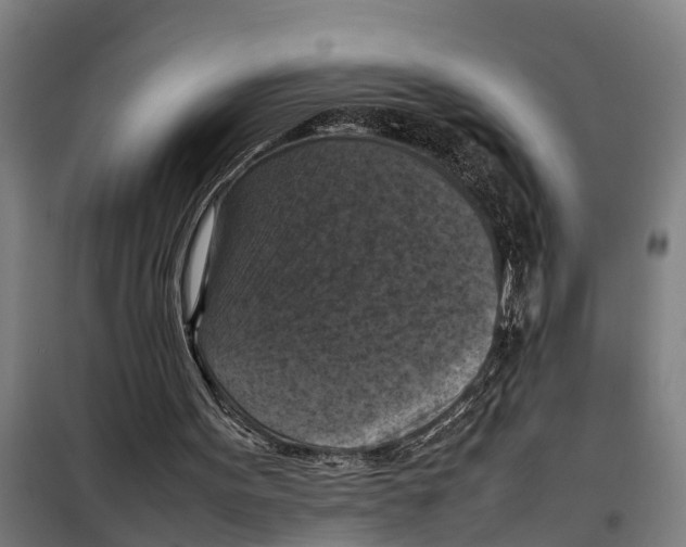 X0000098000099200804211142
