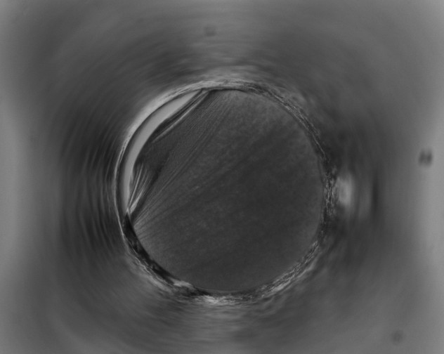 X0000098000100200804211142