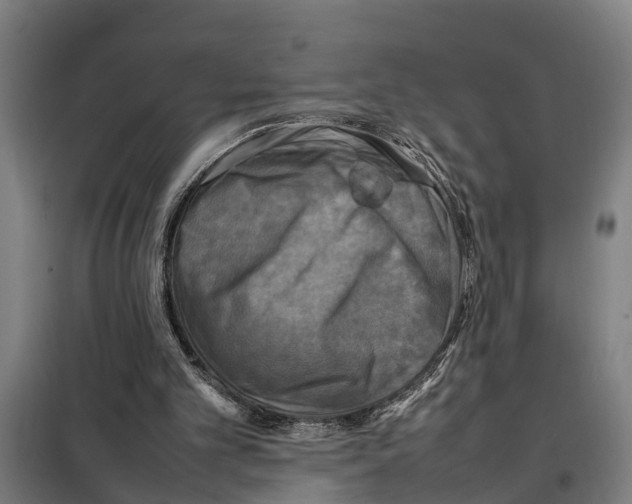 X0000098000101200804211142