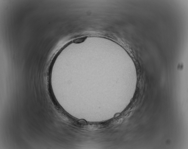 X0000098000103200804211142
