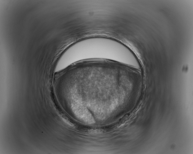 X0000098000105200804211142
