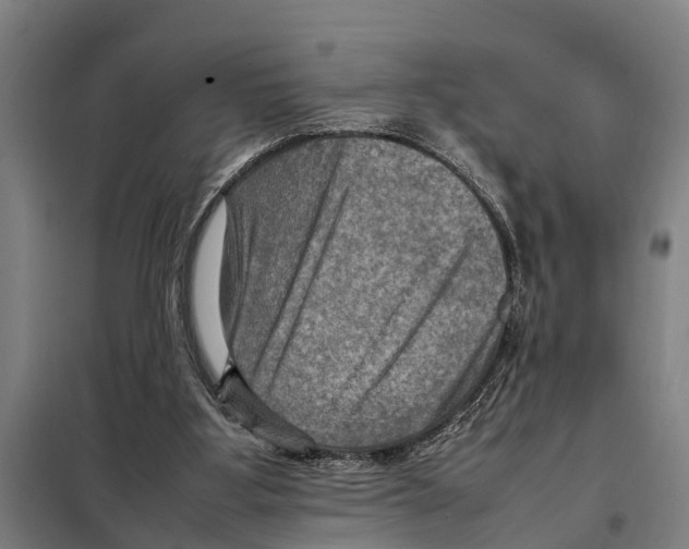 X0000098000107200804211142