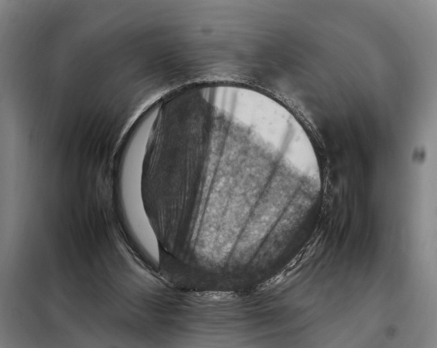 X0000098000108200804211142