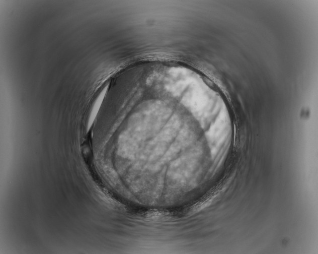 X0000098000109200804211142