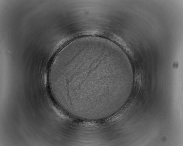 X0000098000110200804211142