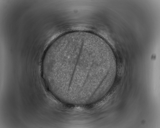 X0000098000111200804211142