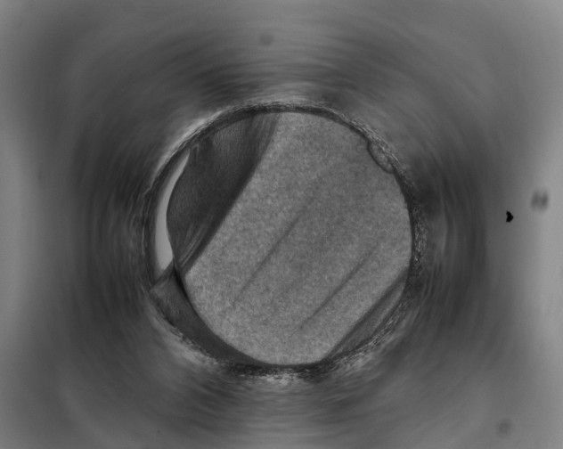 X0000098000112200804211142