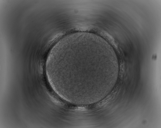 X0000098000114200804211142