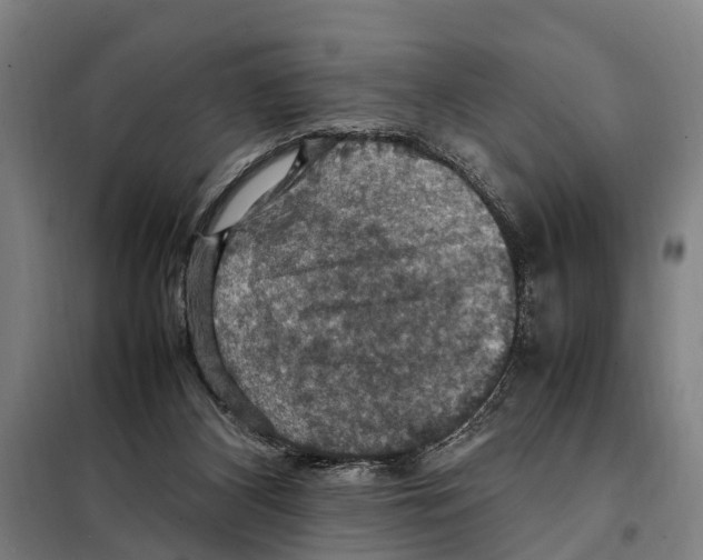 X0000098000116200804211142