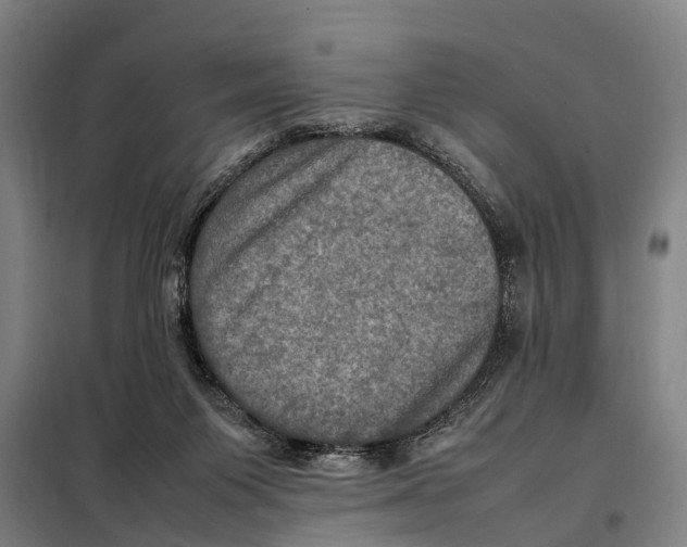 X0000098000119200804211141