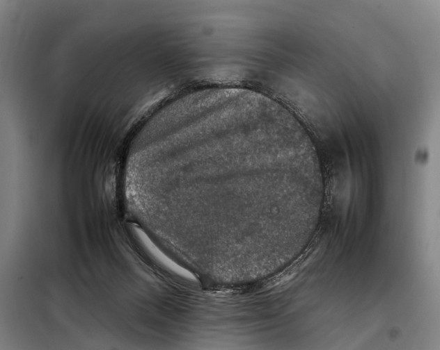 X0000098000120200804211141
