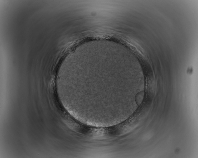X0000098000127200804211141