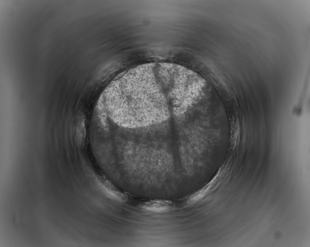 X0000098000128200804211141