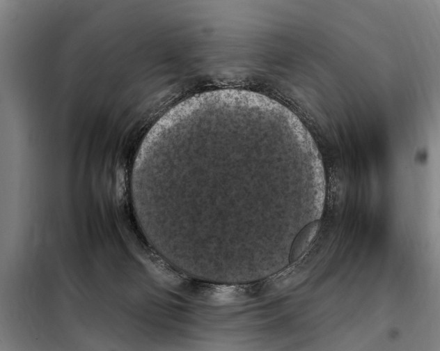 X0000098000130200804211141