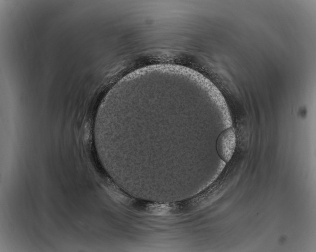 X0000098000131200804211141