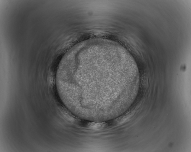 X0000098000135200804211141