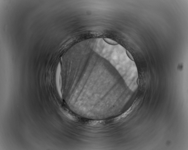 X0000098000136200804211141