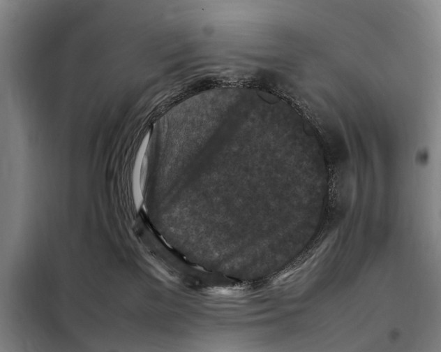 X0000098000137200804211141