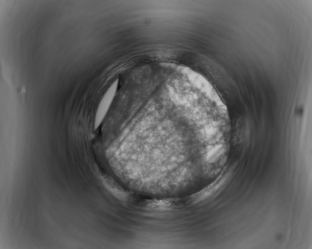 X0000098000140200804211141