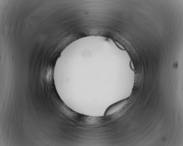 X0000098000142200804211141
