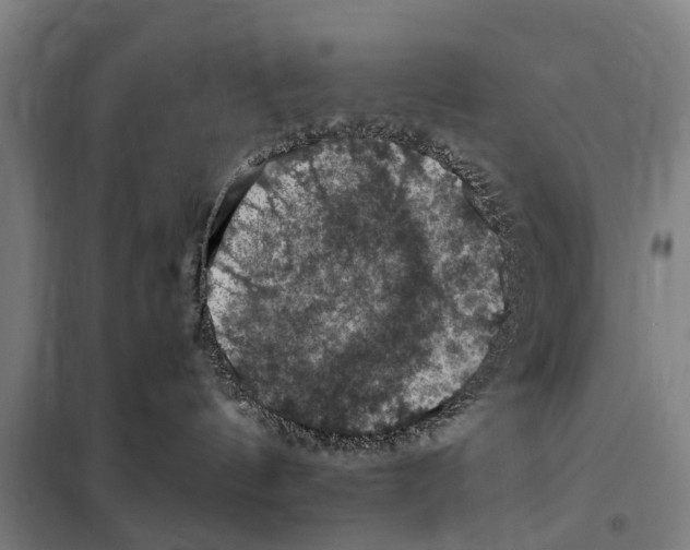 X0000098000144200804211141
