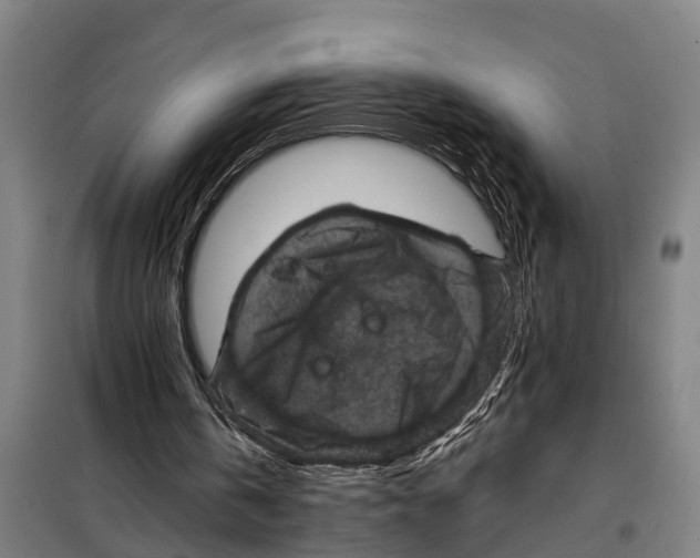 X0000098000146200804211140