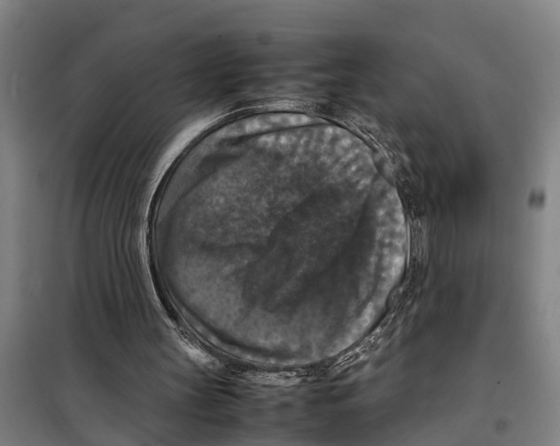 X0000098000147200804211140