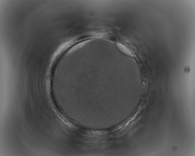 X0000098000149200804211140