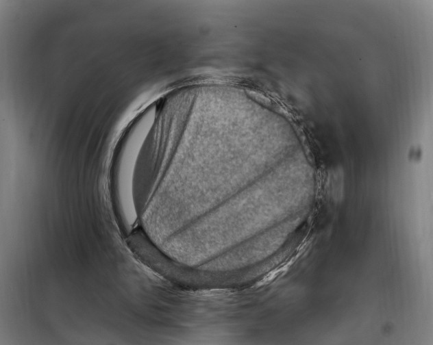 X0000098000150200804211140