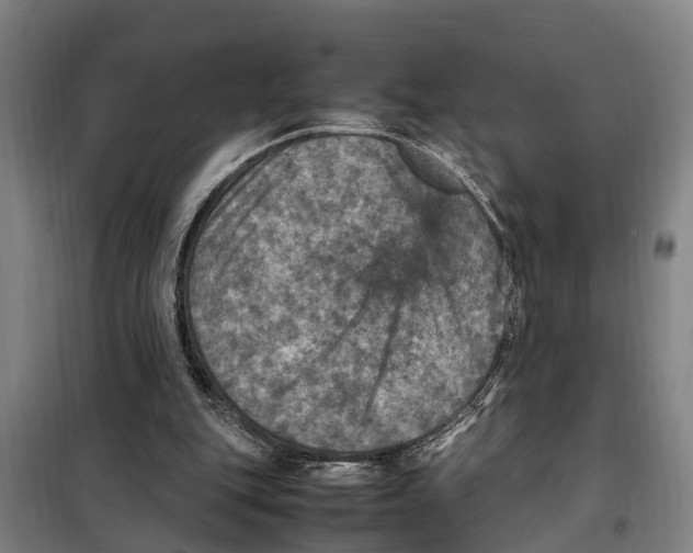 X0000098000151200804211140