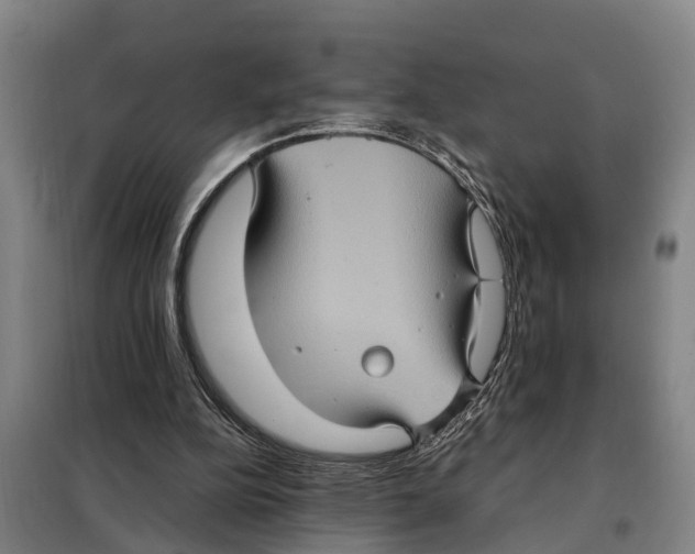 X0000098000152200804211140