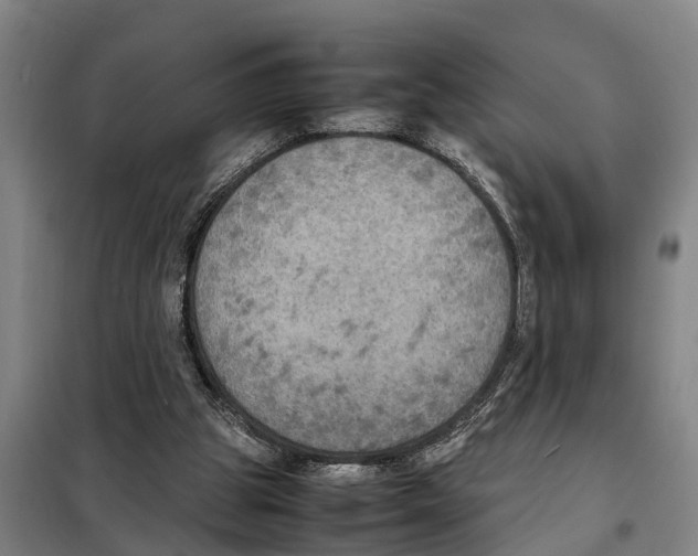 X0000098000153200804211140